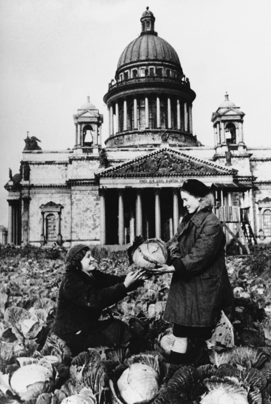 ПОВСЕДНЕВНОСТЬ ВОЕННОГО ВРЕМЕНИ (1941-1945)